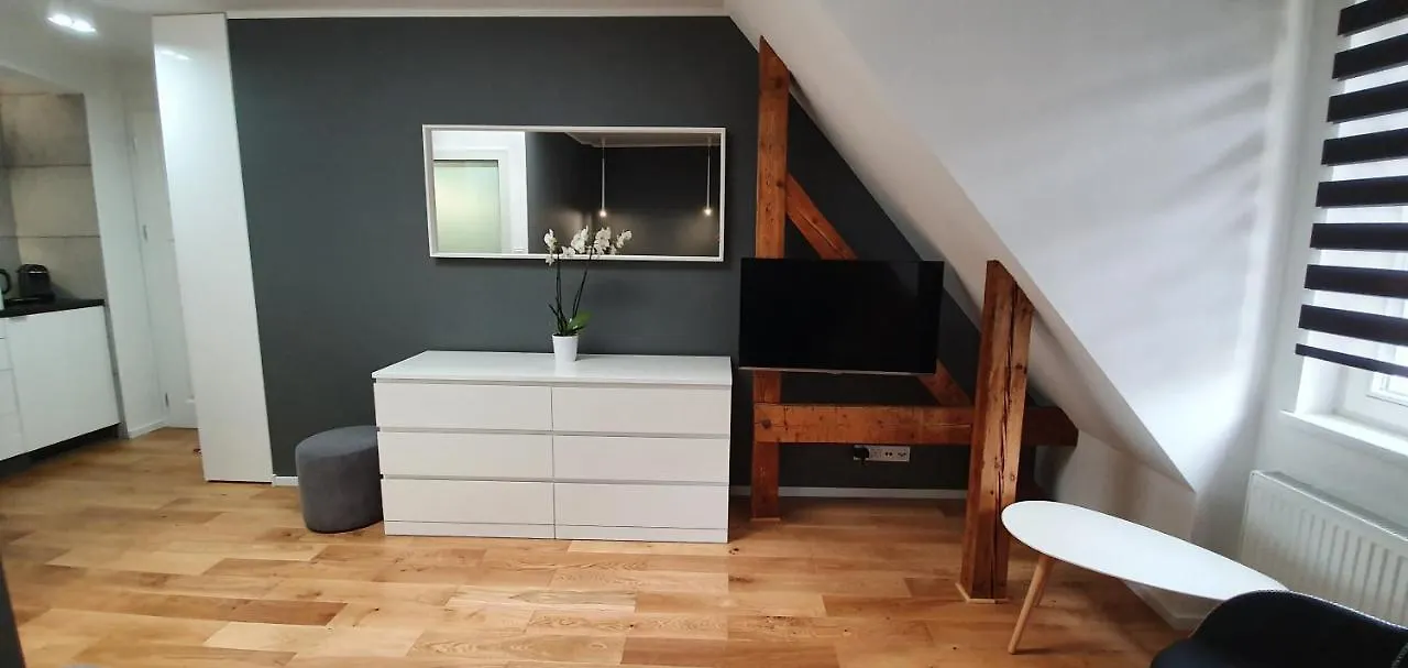 Apartament Vilda Poznań 0*,