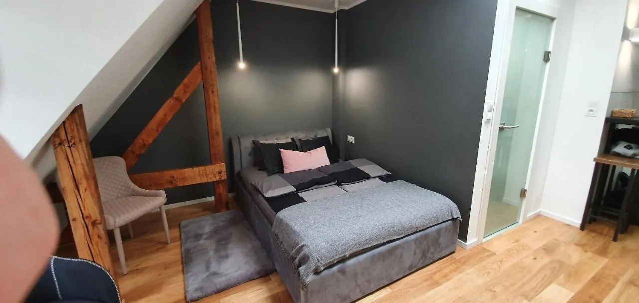 Apartament Vilda Poznań