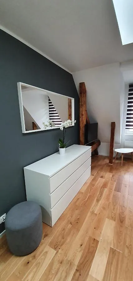 Apartament Vilda Poznań
