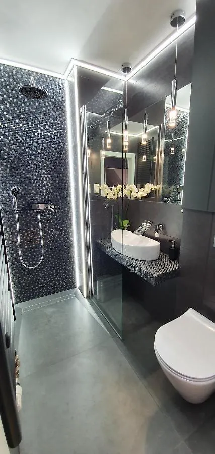 Apartament Vilda Poznań 0*,