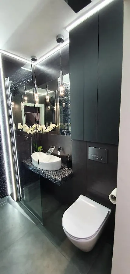 Apartament Vilda Poznań